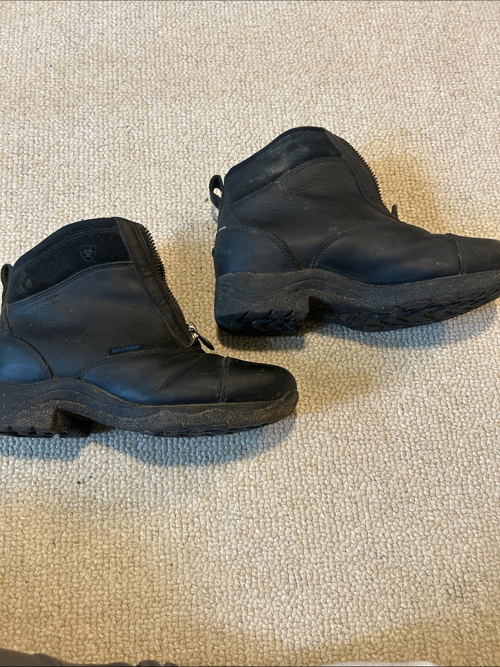 Ariat insulated waterproof paddock boots